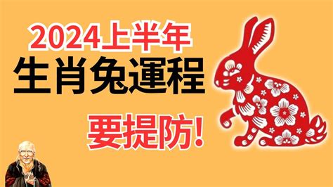 2024生肖兔運勢|生肖兔: 性格，愛情，2024運勢，生肖1987，1999，2011